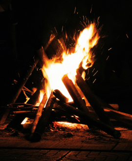 Lohri Img